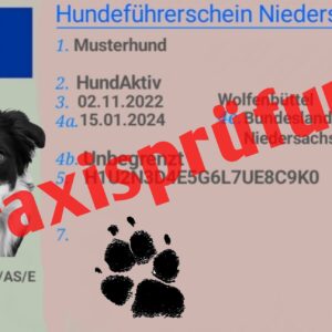 Praxisprüfung Hundeführerschein