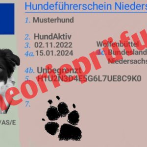 Theorieprüfung Hundeführerschein