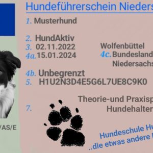 Hundeführerschein Hundehaltersachkunde