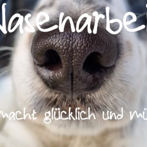 Schnüffelworkshop für Nasenarbeit