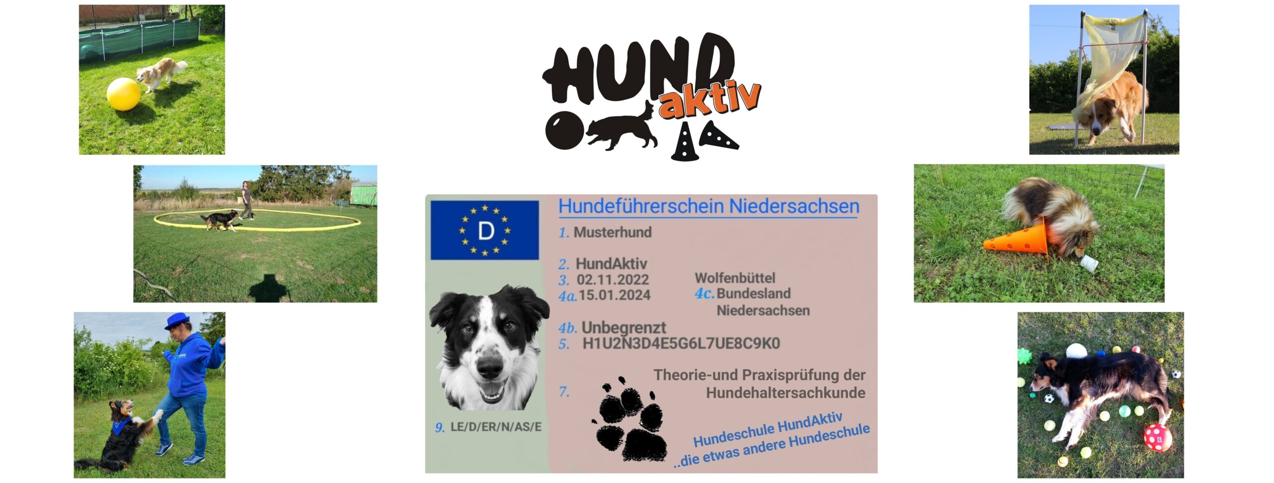 Hundeschule HundAktiv